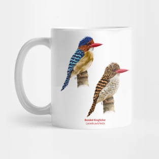 Banded kingfisher | Lacedo pulchella ⚥ Mug